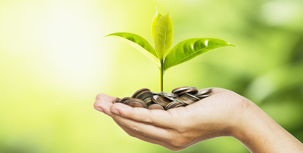 Photo of plant growing out of hand holding donations.