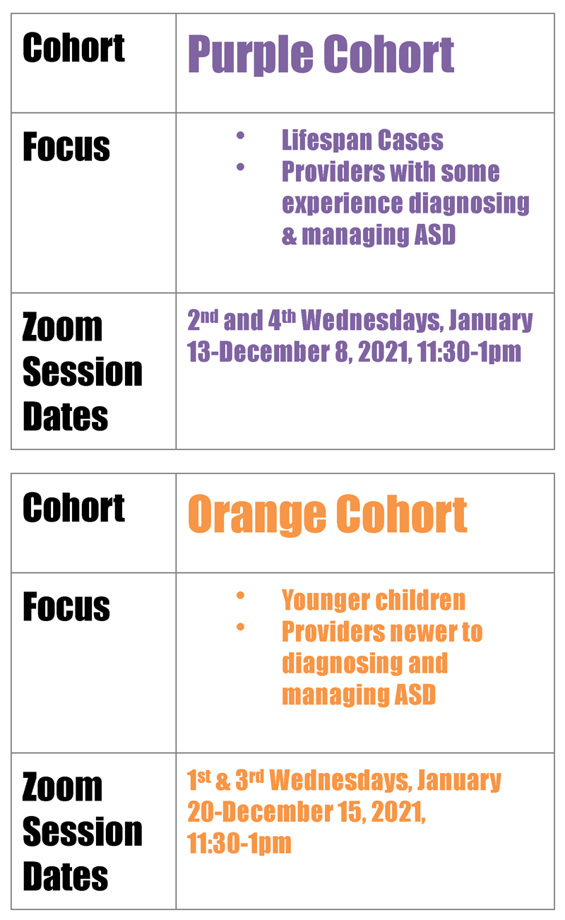 ECHO Autism Options -Purple and Orange Cohorts