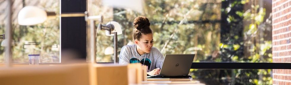 Student sitting at a table looking at their laptop.