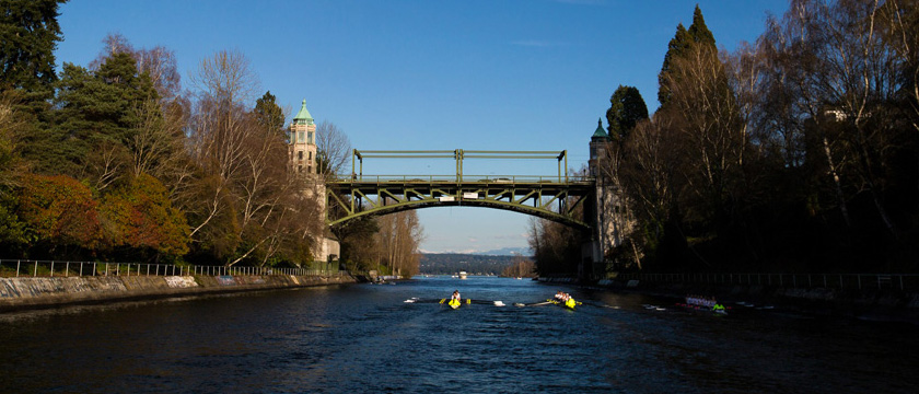 photo-montlake-bridge-rowers
